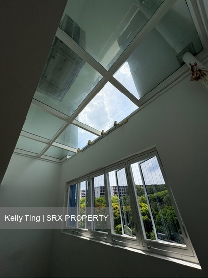 Blk 906 Jurong West Street 91 (Jurong West), HDB Executive #543552761